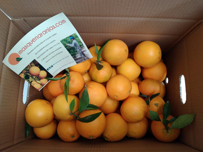 Caja de Naranjas Navelinas